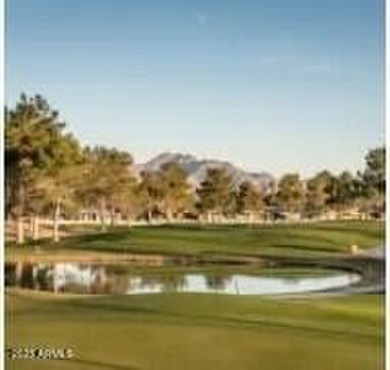 Step into comfort & convenience w/this beautifully maintained on SunBird Golf Club in Arizona - for sale on GolfHomes.com, golf home, golf lot