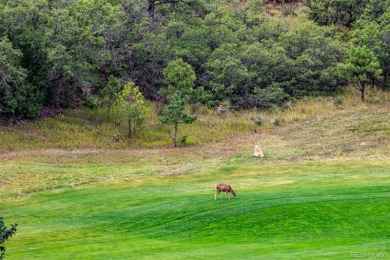 A south-facing lot in Perry Park offering nearly one acre of on Perry Park Country Club in Colorado - for sale on GolfHomes.com, golf home, golf lot