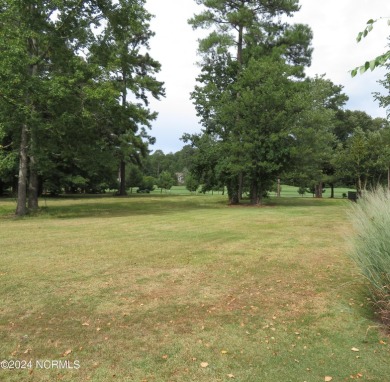 2024 CHRISTMAS SPECIAL!! START 2025 OFF BY STARTING YOUR DREAM on River Landing Golf Course in North Carolina - for sale on GolfHomes.com, golf home, golf lot