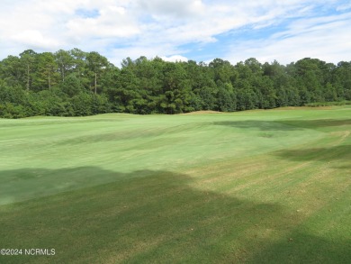 2024 CHRISTMAS SPECIAL!! START 2025 OFF BY STARTING YOUR DREAM on River Landing Golf Course in North Carolina - for sale on GolfHomes.com, golf home, golf lot