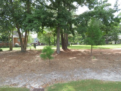 SPECIAL PRICE! PRICED TO SELL!!!! EVERYTHING YOU HAVE EVER on River Landing Golf Course in North Carolina - for sale on GolfHomes.com, golf home, golf lot