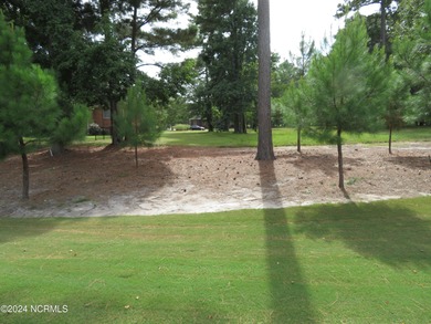 SPECIAL PRICE! PRICED TO SELL!!!! EVERYTHING YOU HAVE EVER on River Landing Golf Course in North Carolina - for sale on GolfHomes.com, golf home, golf lot