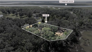 The ole sayin', He's not makin' anymore, so grab it while you on Sapelo Hammock Golf Club in Georgia - for sale on GolfHomes.com, golf home, golf lot