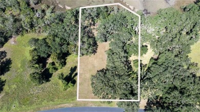 The ole sayin', He's not makin' anymore, so grab it while you on Sapelo Hammock Golf Club in Georgia - for sale on GolfHomes.com, golf home, golf lot