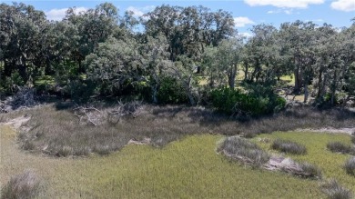The ole sayin', He's not makin' anymore, so grab it while you on Sapelo Hammock Golf Club in Georgia - for sale on GolfHomes.com, golf home, golf lot