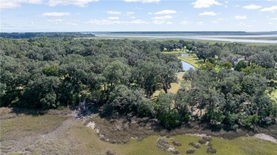 The ole sayin', He's not makin' anymore, so grab it while you on Sapelo Hammock Golf Club in Georgia - for sale on GolfHomes.com, golf home, golf lot