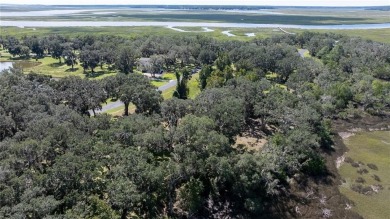 The ole sayin', He's not makin' anymore, so grab it while you on Sapelo Hammock Golf Club in Georgia - for sale on GolfHomes.com, golf home, golf lot