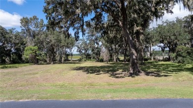 The ole sayin', He's not makin' anymore, so grab it while you on Sapelo Hammock Golf Club in Georgia - for sale on GolfHomes.com, golf home, golf lot