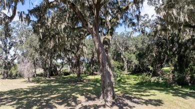 The ole sayin', He's not makin' anymore, so grab it while you on Sapelo Hammock Golf Club in Georgia - for sale on GolfHomes.com, golf home, golf lot