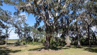 The ole sayin', He's not makin' anymore, so grab it while you on Sapelo Hammock Golf Club in Georgia - for sale on GolfHomes.com, golf home, golf lot
