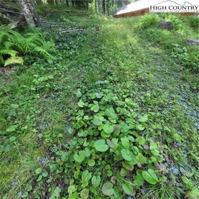 Priced to sell!  This gentle uphill lot near the Beech Mountain on Beech Mountain Club in North Carolina - for sale on GolfHomes.com, golf home, golf lot
