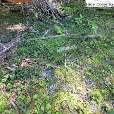 Priced to sell!  This gentle uphill lot near the Beech Mountain on Beech Mountain Club in North Carolina - for sale on GolfHomes.com, golf home, golf lot