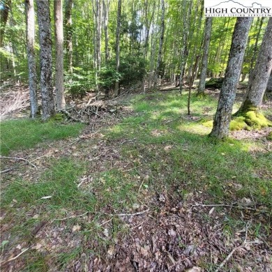 Priced to sell!  This gentle uphill lot near the Beech Mountain on Beech Mountain Club in North Carolina - for sale on GolfHomes.com, golf home, golf lot