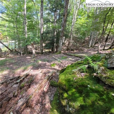 Priced to sell!  This gentle uphill lot near the Beech Mountain on Beech Mountain Club in North Carolina - for sale on GolfHomes.com, golf home, golf lot