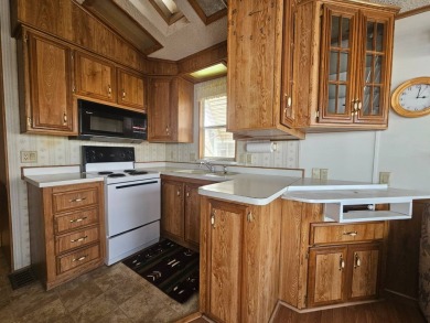 Don't Wait Or Hesitate, Pack Your Suite Case, Grab A Toothbrush on Viewpoint Golf Resort in Arizona - for sale on GolfHomes.com, golf home, golf lot
