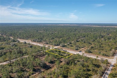 Welcome to Indian Lake Estates!
This expansive corner lot on Indian Lake Estates Golf and Country Club in Florida - for sale on GolfHomes.com, golf home, golf lot