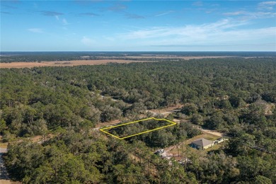 Welcome to Indian Lake Estates!
This expansive corner lot on Indian Lake Estates Golf and Country Club in Florida - for sale on GolfHomes.com, golf home, golf lot