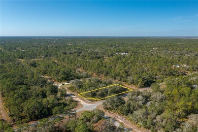 Welcome to Indian Lake Estates!
This expansive corner lot on Indian Lake Estates Golf and Country Club in Florida - for sale on GolfHomes.com, golf home, golf lot