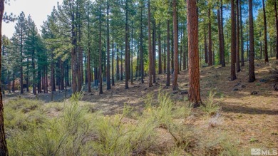 Incredible 1-acre lot, located behind the gates of the on Montreux Golf and Country Club in Nevada - for sale on GolfHomes.com, golf home, golf lot
