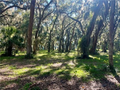 Check out this stunning homesite on Sutherland Bluff Drive! on Sapelo Hammock Golf Club in Georgia - for sale on GolfHomes.com, golf home, golf lot