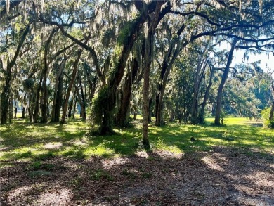 Check out this stunning homesite on Sutherland Bluff Drive! on Sapelo Hammock Golf Club in Georgia - for sale on GolfHomes.com, golf home, golf lot