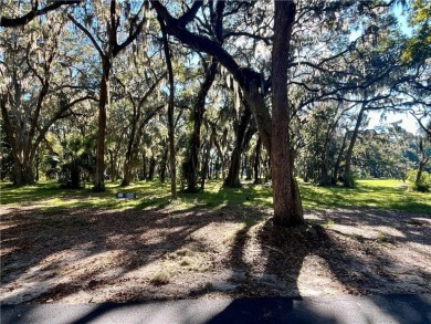 Check out this stunning homesite on Sutherland Bluff Drive! on Sapelo Hammock Golf Club in Georgia - for sale on GolfHomes.com, golf home, golf lot