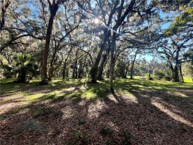 Check out this stunning homesite on Sutherland Bluff Drive! on Sapelo Hammock Golf Club in Georgia - for sale on GolfHomes.com, golf home, golf lot