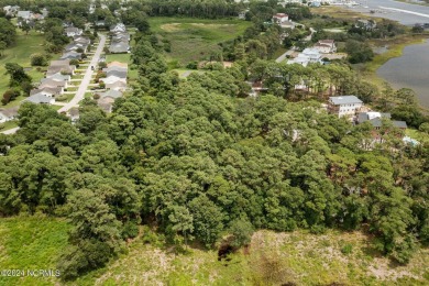 Easy to picture your dream home on this gorgeous, sprawling .93 on South Harbour Golf Links in North Carolina - for sale on GolfHomes.com, golf home, golf lot