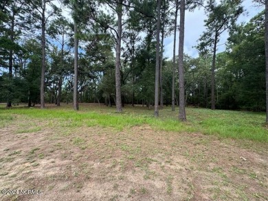 Easy to picture your dream home on this gorgeous, sprawling .93 on South Harbour Golf Links in North Carolina - for sale on GolfHomes.com, golf home, golf lot