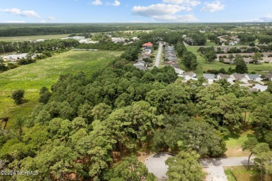 Easy to picture your dream home on this gorgeous, sprawling .93 on South Harbour Golf Links in North Carolina - for sale on GolfHomes.com, golf home, golf lot