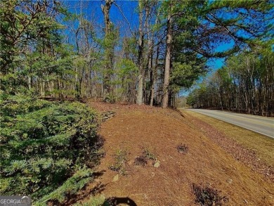 Must see this picturesque 3.23 acre wooded lot with stunning on The Orchard Golf and Country Club in Georgia - for sale on GolfHomes.com, golf home, golf lot