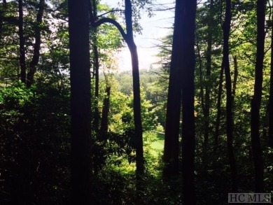 This 1 acre lot while gently sloping, overlooks the 17th green on Lake Toxaway Country Club in North Carolina - for sale on GolfHomes.com, golf home, golf lot