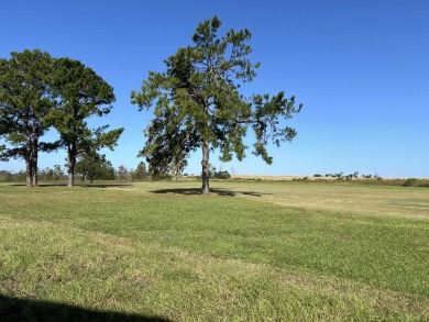 2 BEDROOM, 2 BATHROOM, PARLOR This New Palm Harbor Carriage on Scotland Yards Golf Club in Florida - for sale on GolfHomes.com, golf home, golf lot