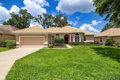 Picture yourself in a beautifully maintained home located in on Skyview At Terra Vista Golf and Country Club in Florida - for sale on GolfHomes.com, golf home, golf lot
