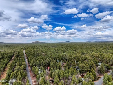 Discover your perfect mountain escape in this immaculate and on Pinetop Lakes Golf and Country Club in Arizona - for sale on GolfHomes.com, golf home, golf lot