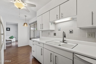 Come see this beautifully maintained 2-bedroom, 2-bath patio on Sun City-Willow Creek / Willow Brook  in Arizona - for sale on GolfHomes.com, golf home, golf lot