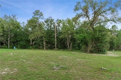 Your Dream Come True! Discover a hidden gem nestled in the on Rainbows End Golf Club in Florida - for sale on GolfHomes.com, golf home, golf lot