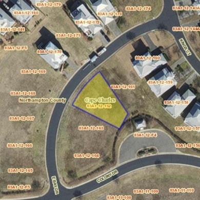 Cleared building lot in Bay Creek-Kings Bay. Enjoy community on Bay Creek Golf Club in Virginia - for sale on GolfHomes.com, golf home, golf lot