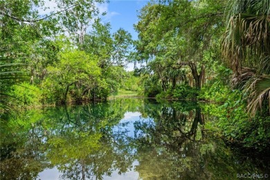 Your Dream Come True! Discover a hidden gem nestled in the on Rainbows End Golf Club in Florida - for sale on GolfHomes.com, golf home, golf lot