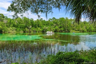 Your Dream Come True! Discover a hidden gem nestled in the on Rainbows End Golf Club in Florida - for sale on GolfHomes.com, golf home, golf lot