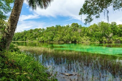 Your Dream Come True! Discover a hidden gem nestled in the on Rainbows End Golf Club in Florida - for sale on GolfHomes.com, golf home, golf lot