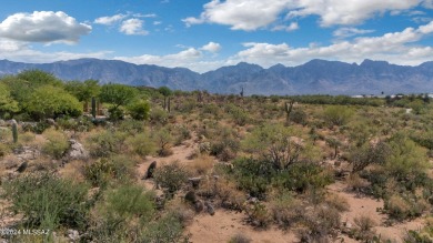 Stone Canyon, nestled against the picturesque Tortolita on Stone Canyon Club in Arizona - for sale on GolfHomes.com, golf home, golf lot