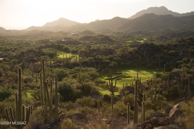 Stone Canyon, nestled against the picturesque Tortolita on Stone Canyon Club in Arizona - for sale on GolfHomes.com, golf home, golf lot