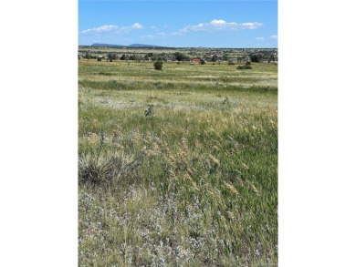 This property is one of over 140 individual lots being sold on Hollydot Golf Course in Colorado - for sale on GolfHomes.com, golf home, golf lot