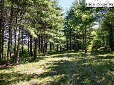 Welcome to your very own private oasis in the town of Boone, NC on Boone Golf Club in North Carolina - for sale on GolfHomes.com, golf home, golf lot