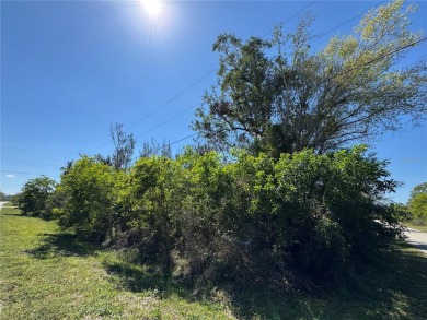 Prime opportunity to own two adjacent residential lots in on Seminole Lakes Country Club in Florida - for sale on GolfHomes.com, golf home, golf lot