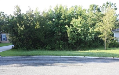 Welcome to Lot 504 on Holm Place, a prime homesite nestled in on The Club At Osprey Cove in Georgia - for sale on GolfHomes.com, golf home, golf lot