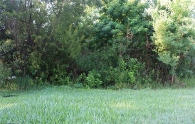 Welcome to Lot 504 on Holm Place, a prime homesite nestled in on The Club At Osprey Cove in Georgia - for sale on GolfHomes.com, golf home, golf lot