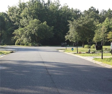 Welcome to Lot 504 on Holm Place, a prime homesite nestled in on The Club At Osprey Cove in Georgia - for sale on GolfHomes.com, golf home, golf lot