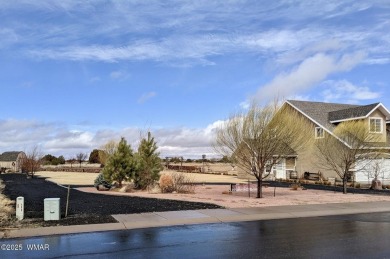 Fantastic Investment Opportunity! This well-maintained on Snowflake Municipal Golf Course in Arizona - for sale on GolfHomes.com, golf home, golf lot